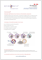 Active_Motif_TransAM