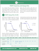 PARP Enzymes & Assay Kits - BPS