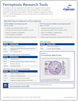 Cayman Ferroptosis Research Tools